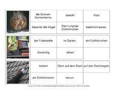 Sätze-bilden-Eichhörnchen 10.pdf